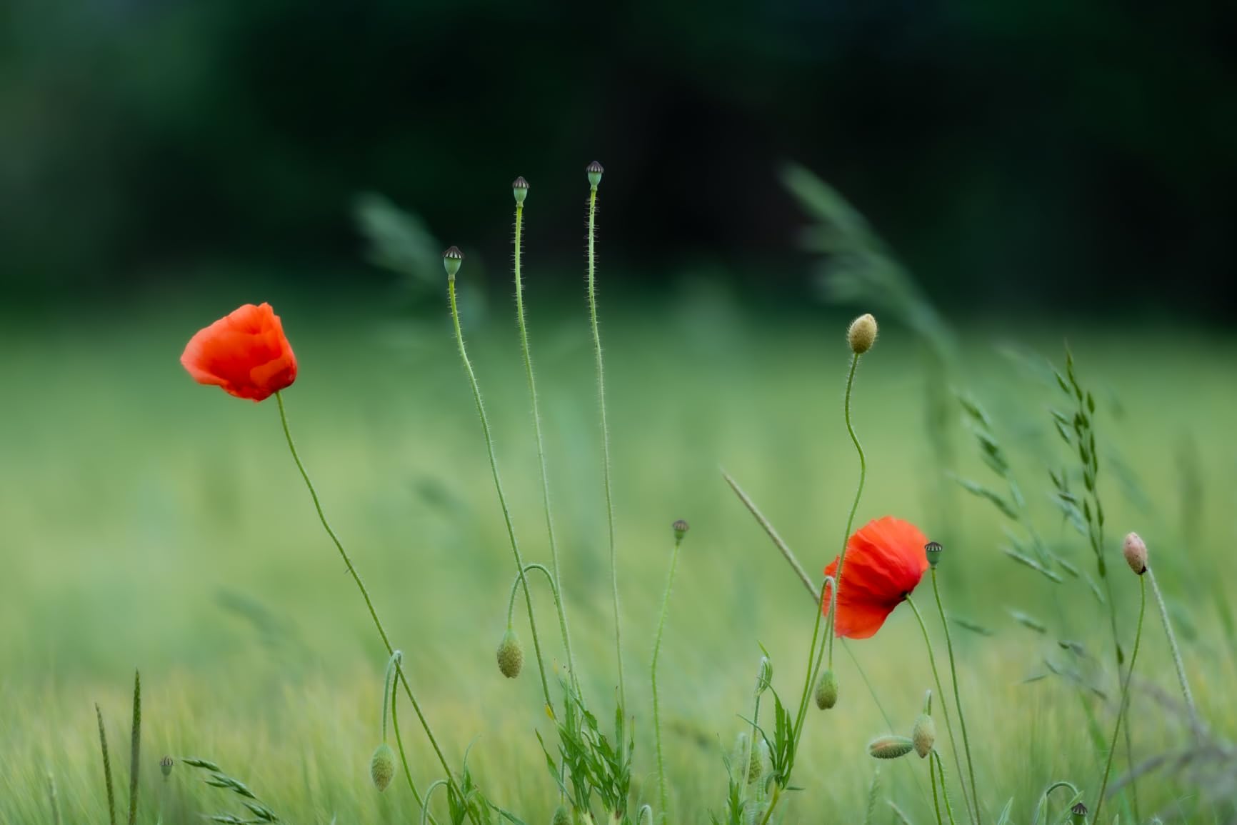 Un must per la natura
