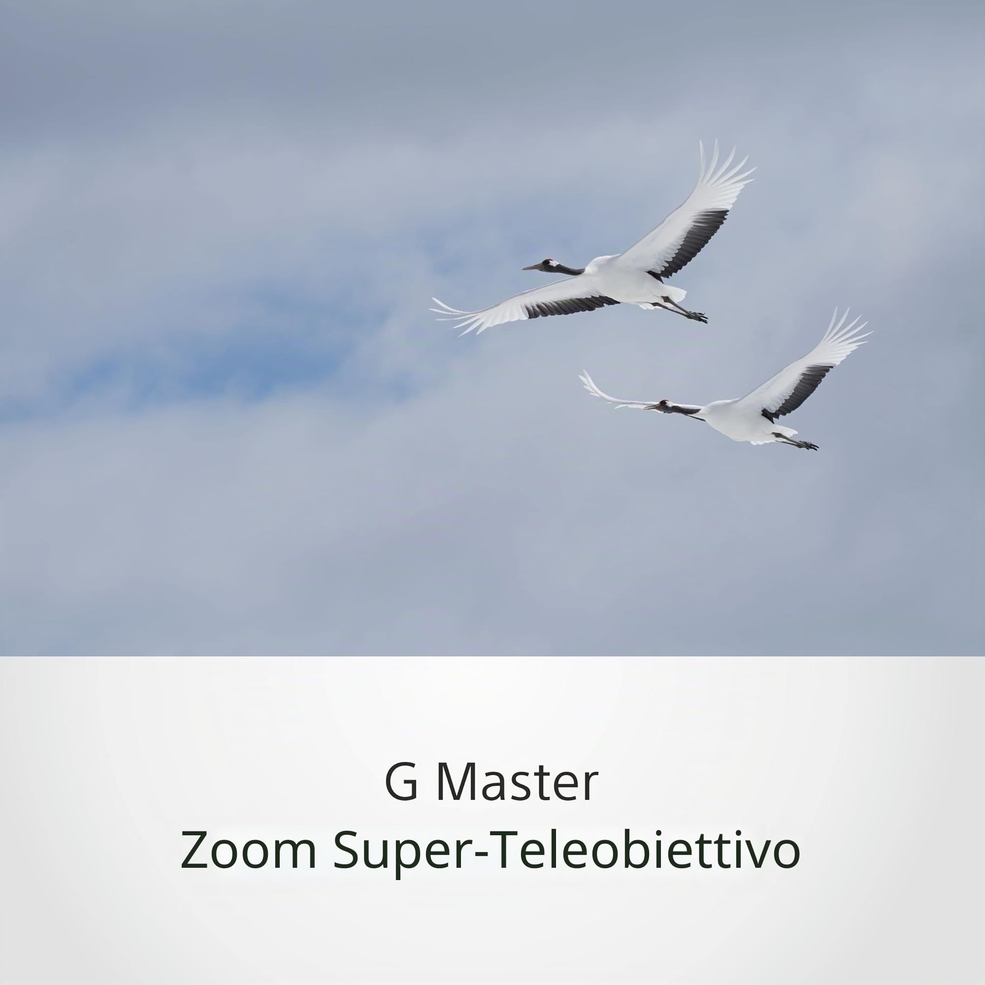 sony-100-400mm-f4-5-5-6-g-master-superteleobiettivo-zoom-attacco-e-oss image 5