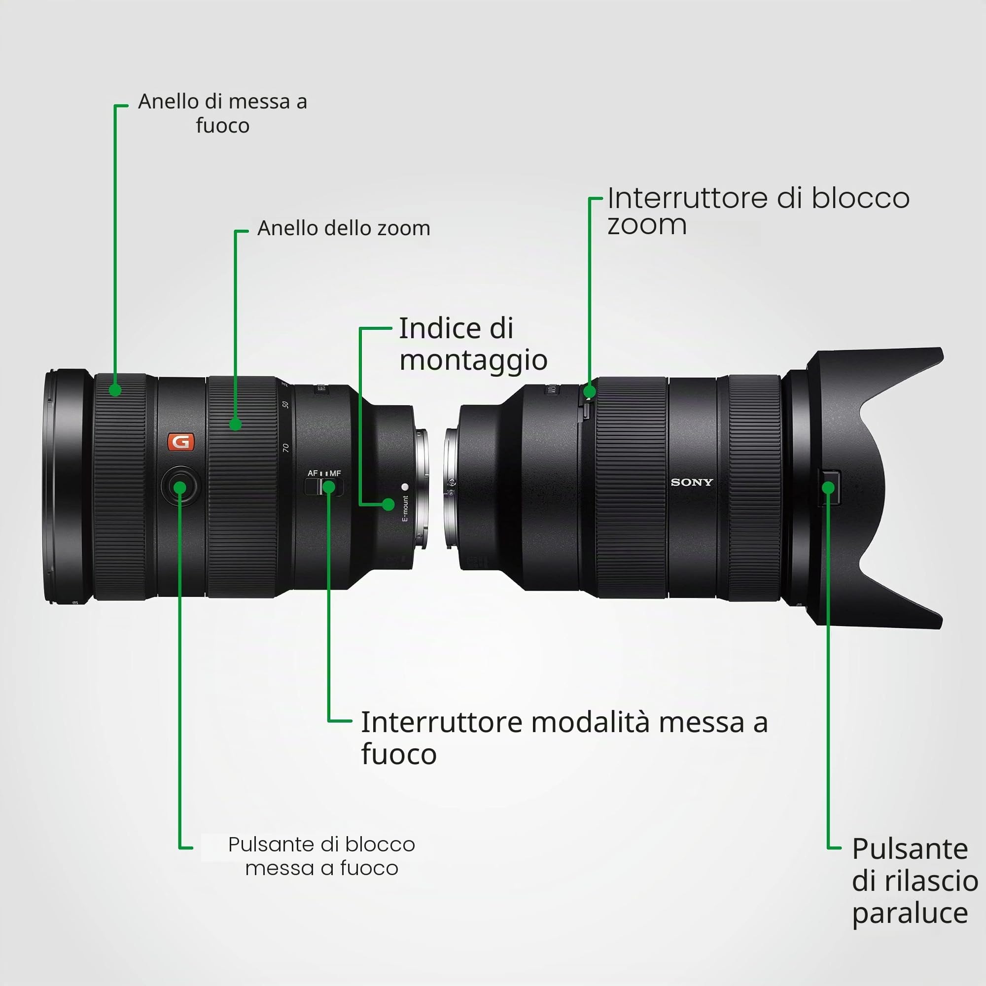 sony-fe-24-70mm-f2-8-gm-sel2470gm-zoom-standard-g-master-per-full-frame-e-aps-c image 7
