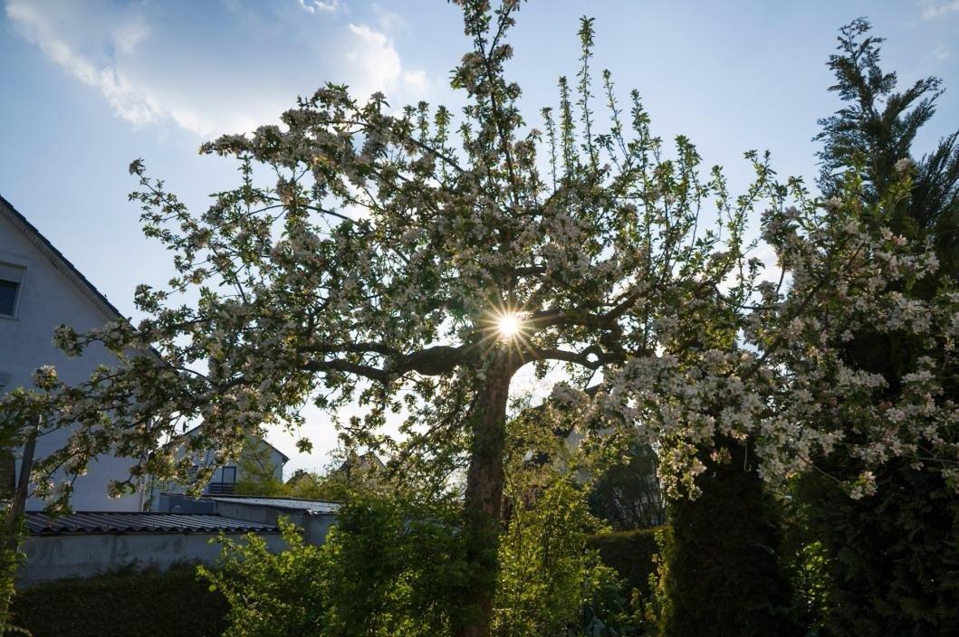 Un'ottima lente