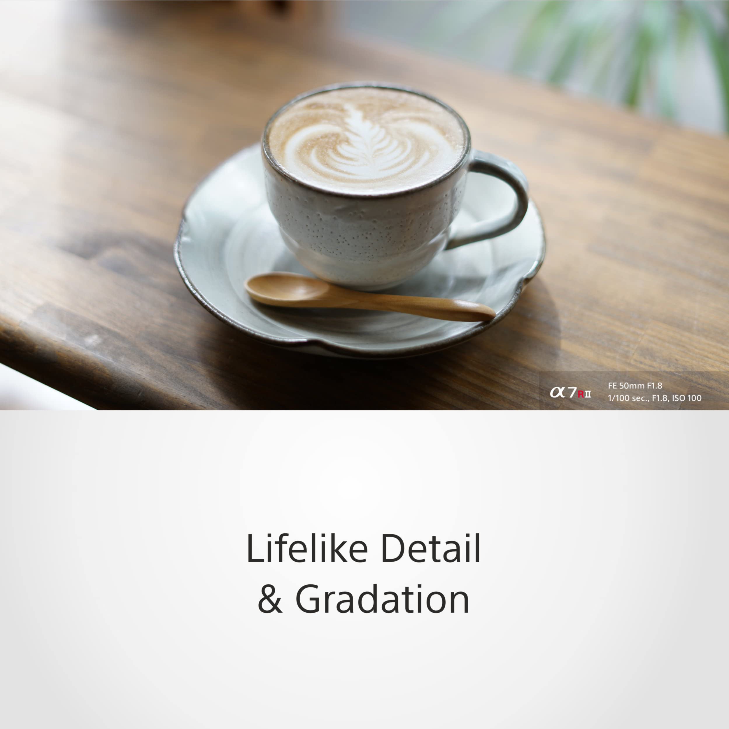 sony-sel50f18f-obiettivo-50mm-f-1-8-full-frame-per-e-mount-bokeh-morbido-perfett image 4