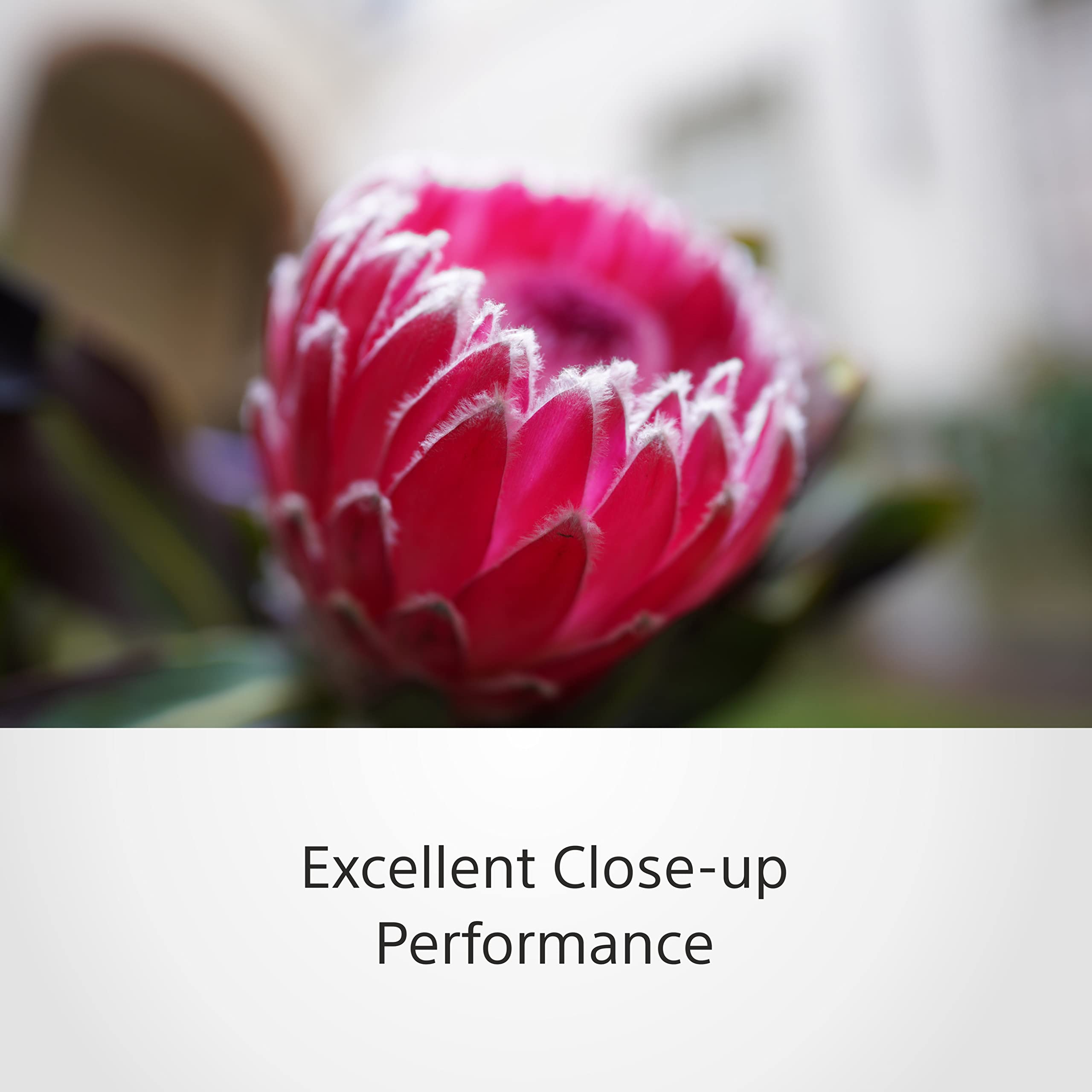 sony-fe-20mm-f-1-8-g-grandangolare-full-frame-per-sony-e-sel20f18g image 7
