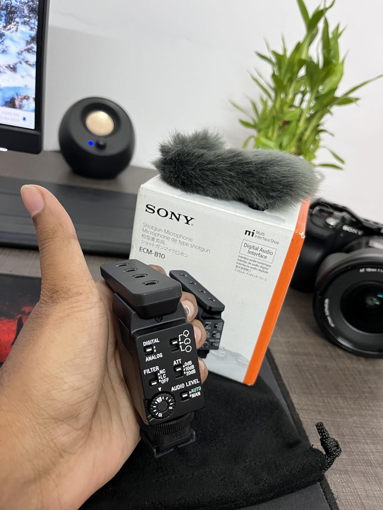 Audio professionale