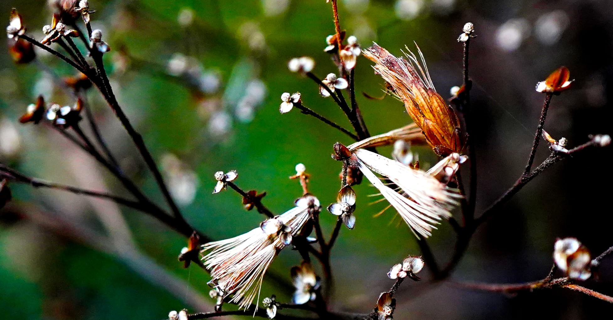 Macro eccellente per iniziare