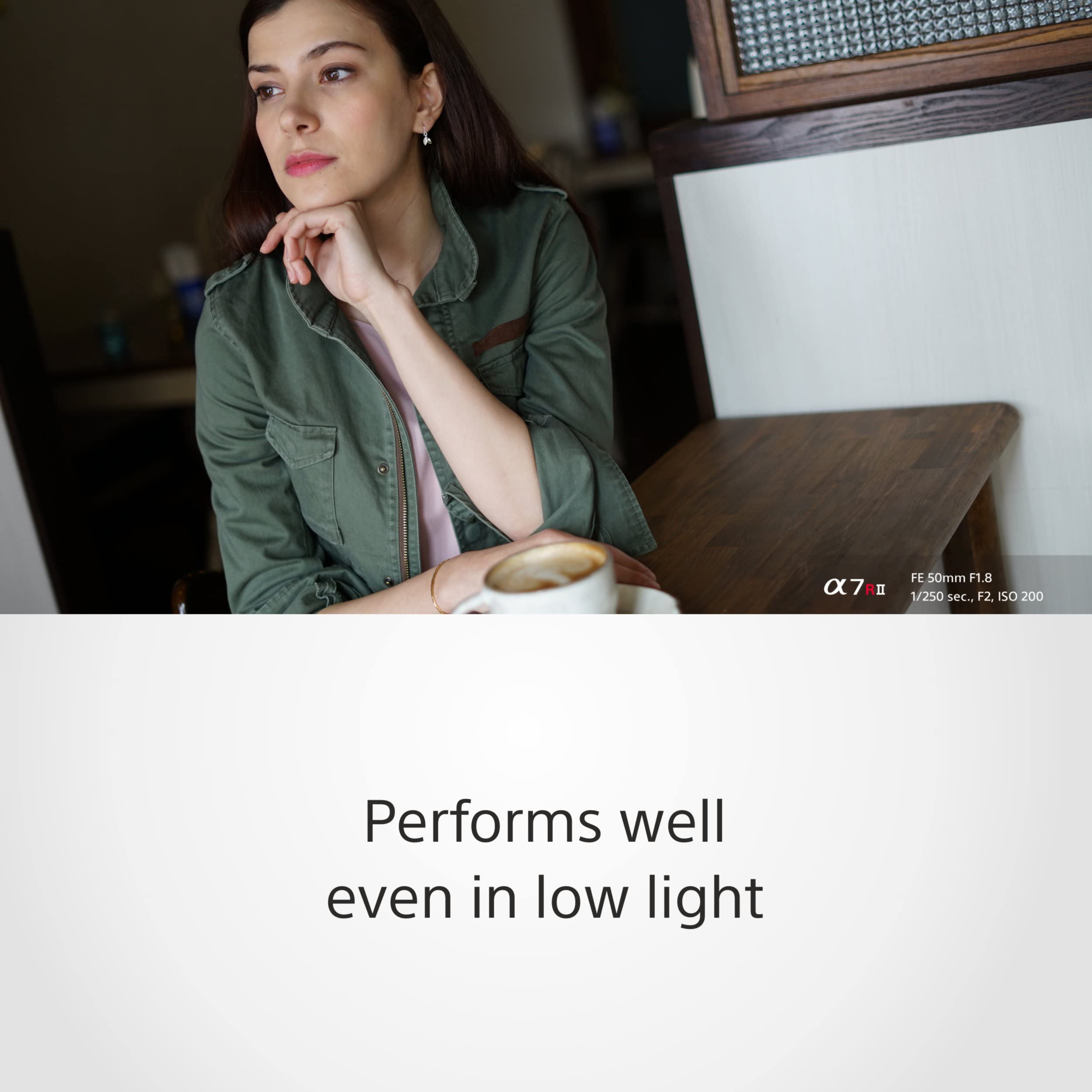 sony-sel50f18f-obiettivo-50mm-f-1-8-full-frame-per-e-mount-bokeh-morbido-perfett image 6
