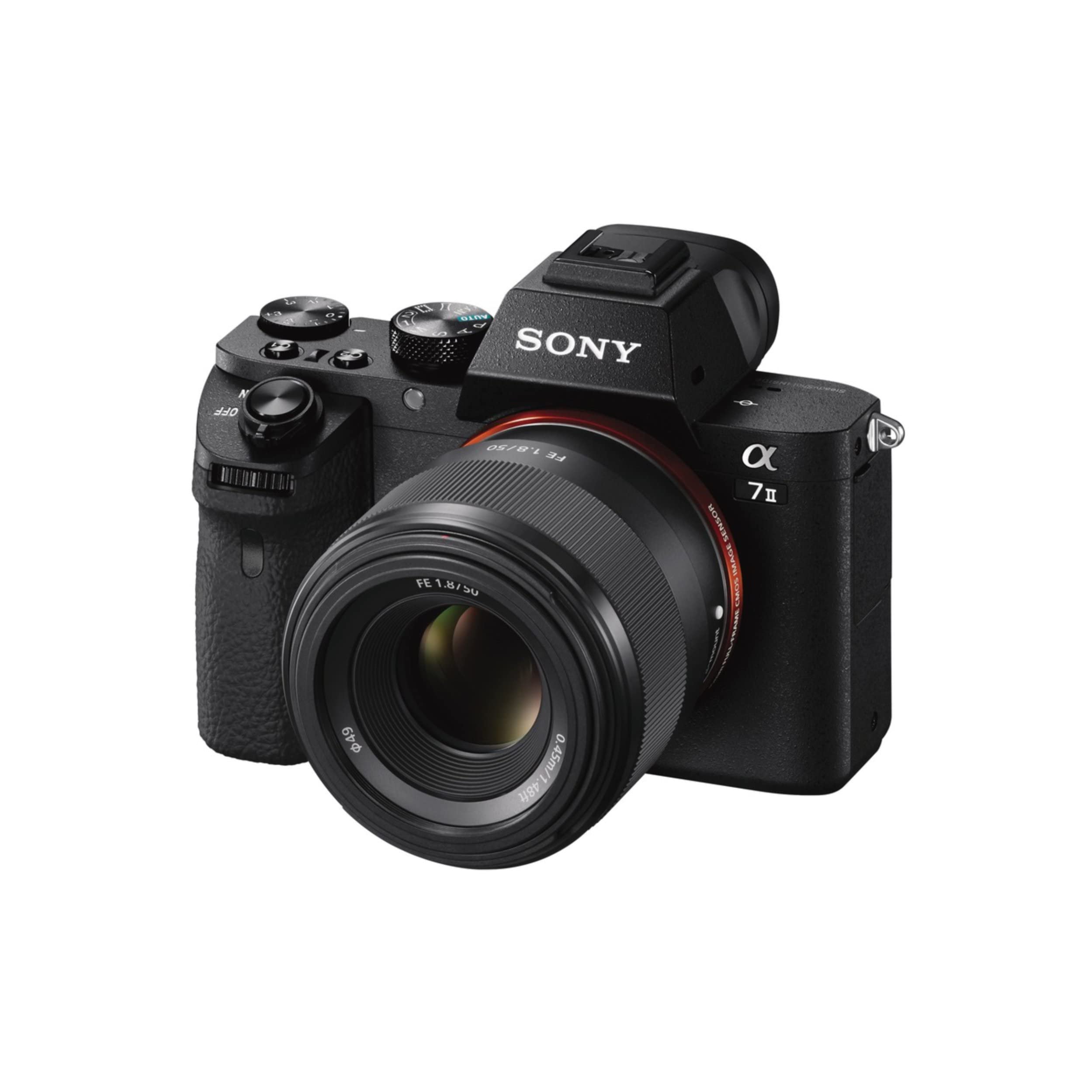 sony-sel50f18f-obiettivo-50mm-f-1-8-full-frame-per-e-mount-bokeh-morbido-perfett image 3