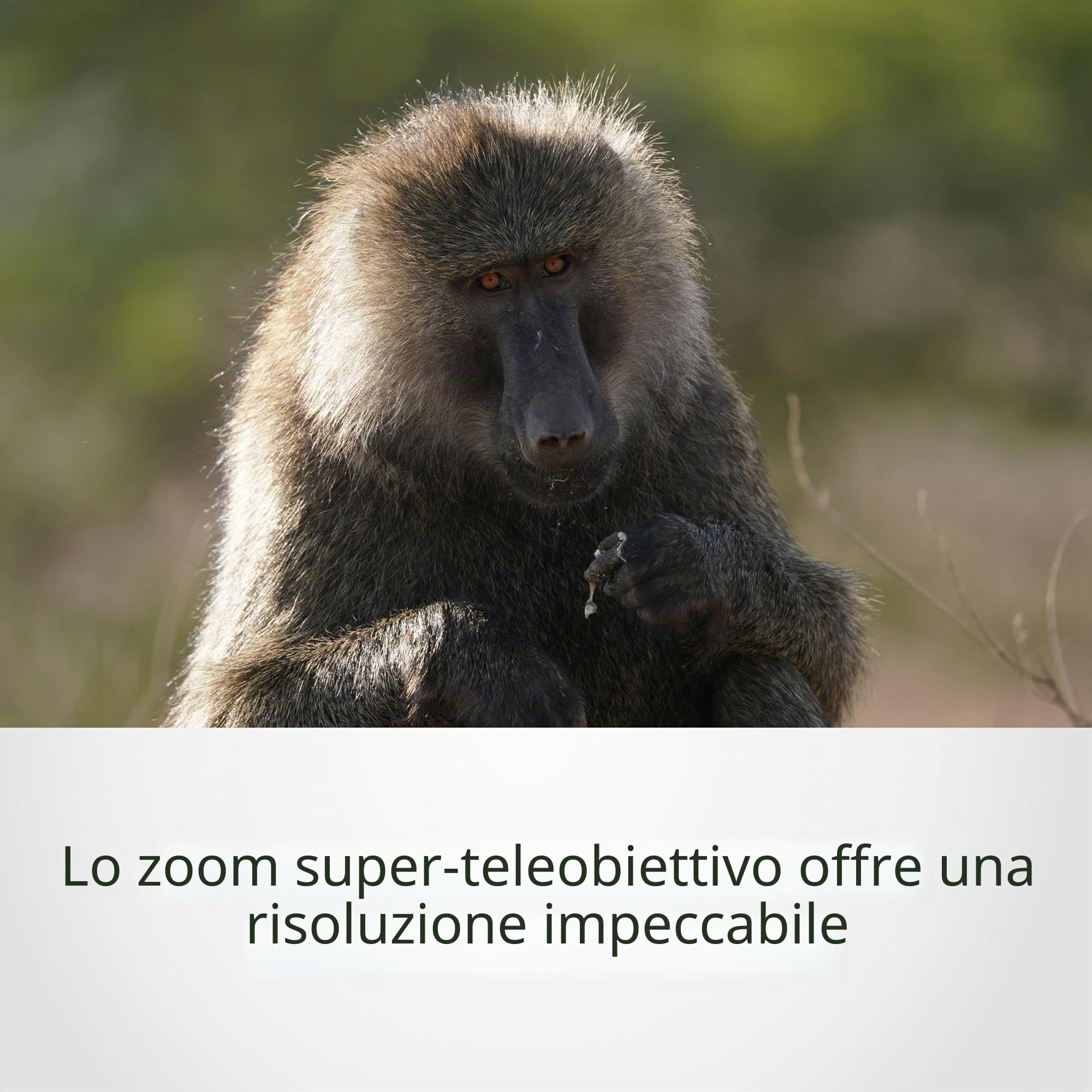 sony-sel200600g-teleobiettivo-200-600mm-f-5-6-6-3-g-per-full-frame-e-aps-c image 3
