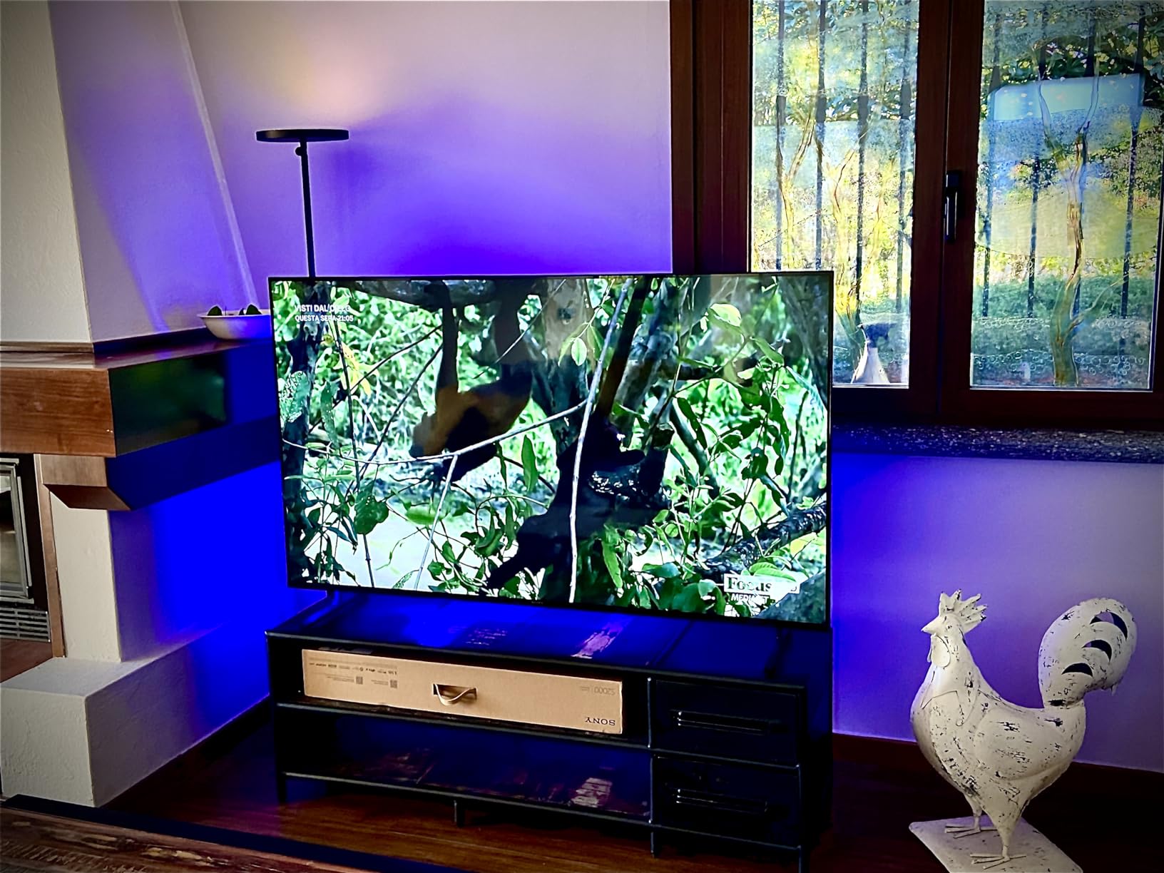 Televisore eccellente per il prezzo