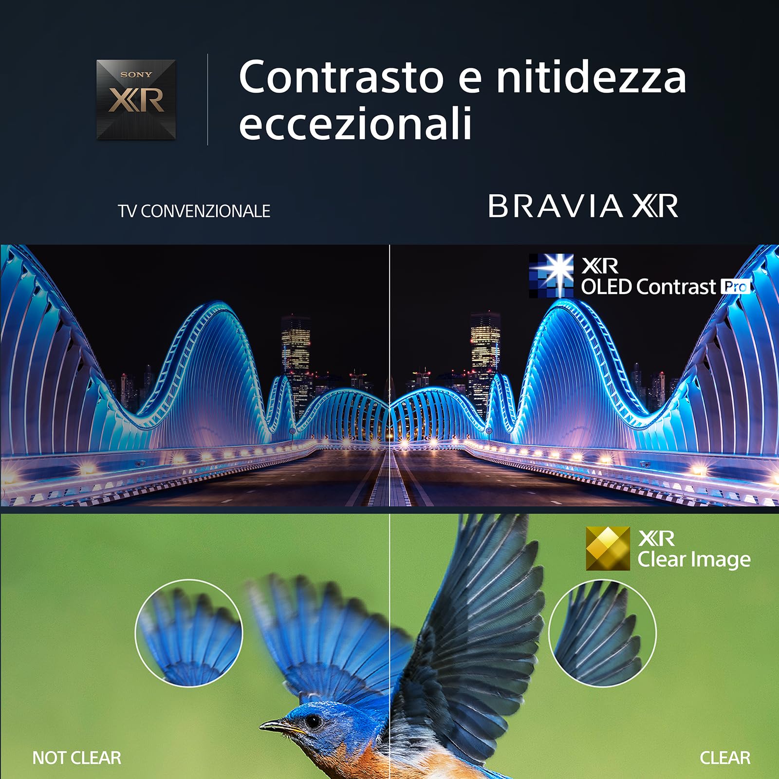 sony-bravia-xr-55a80l-oled-4k-google-tv-55 image 5